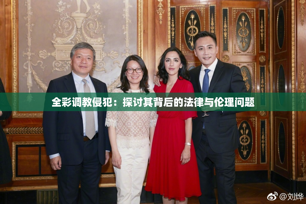 全彩调教侵犯：探讨其背后的法律与伦理问题
