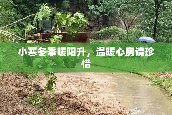 小寒冬季暖阳升，温暖心房请珍惜