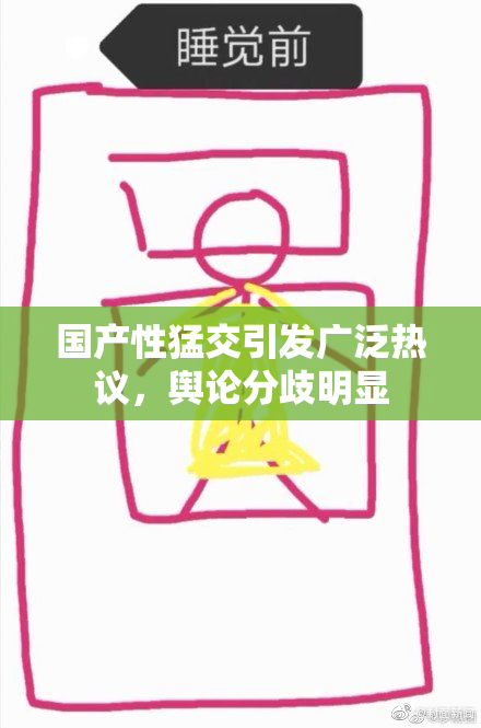 国产性猛交引发广泛热议，舆论分歧明显
