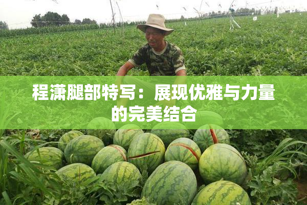 程潇腿部特写：展现优雅与力量的完美结合