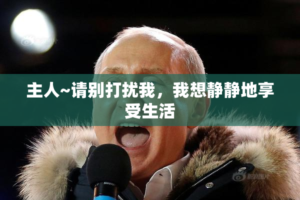 主人~请别打扰我，我想静静地享受生活