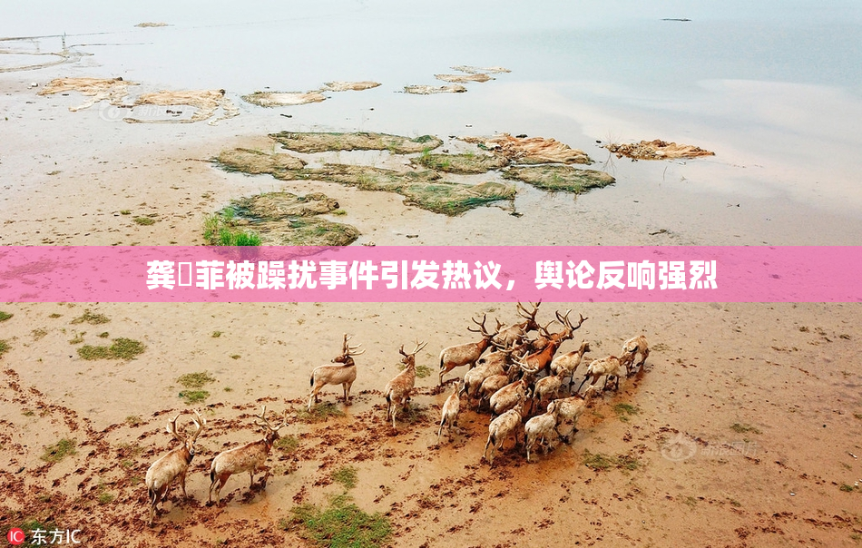 龚玥菲被躁扰事件引发热议，舆论反响强烈