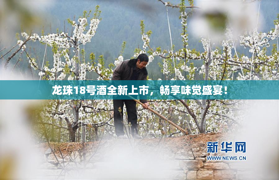 龙珠18号酒全新上市，畅享味觉盛宴！