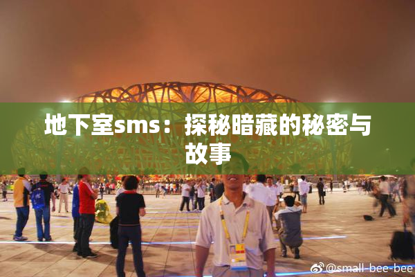 地下室sms：探秘暗藏的秘密与故事