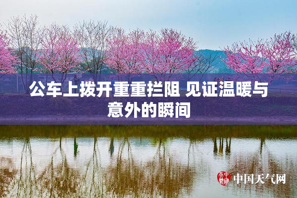 公车上拨开重重拦阻 见证温暖与意外的瞬间
