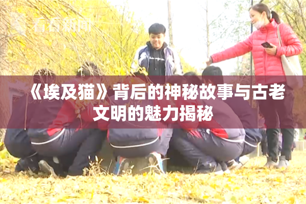 《埃及猫》背后的神秘故事与古老文明的魅力揭秘