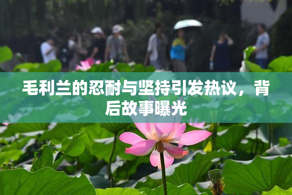 毛利兰的忍耐与坚持引发热议，背后故事曝光