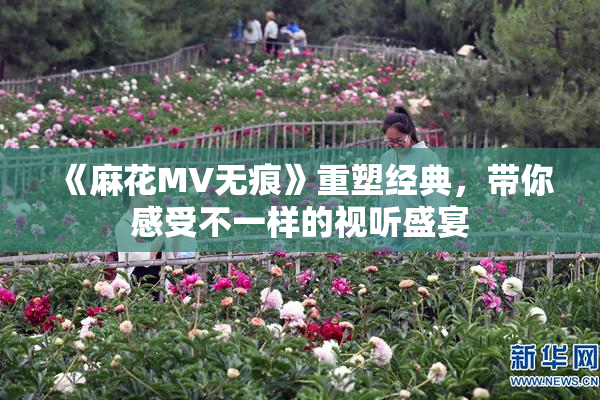 《麻花MV无痕》重塑经典，带你感受不一样的视听盛宴