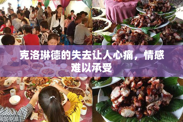 克洛琳德的失去让人心痛，情感难以承受