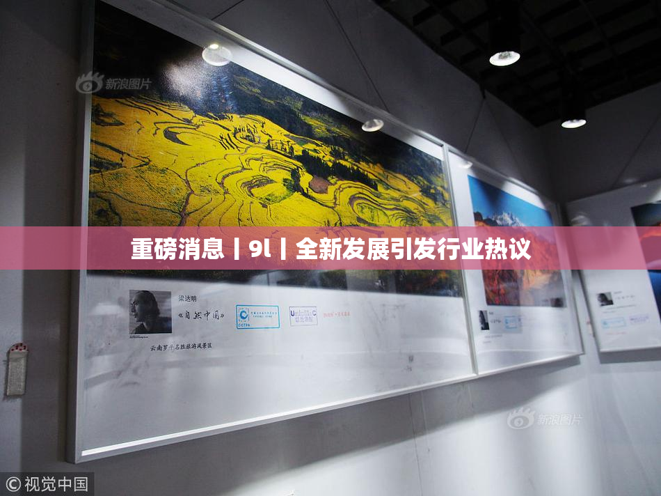 重磅消息丨9l丨全新发展引发行业热议