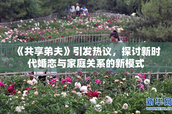 《共享弟夫》引发热议，探讨新时代婚恋与家庭关系的新模式