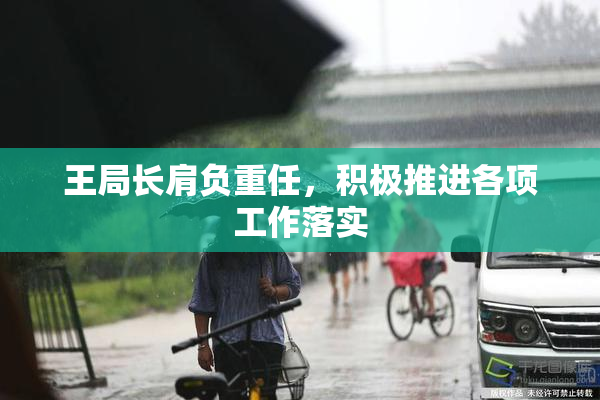 王局长肩负重任，积极推进各项工作落实