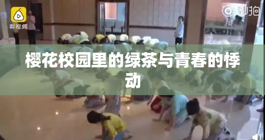 樱花校园里的绿茶与青春的悸动