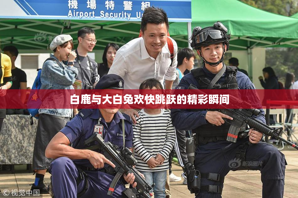 白鹿与大白兔欢快跳跃的精彩瞬间