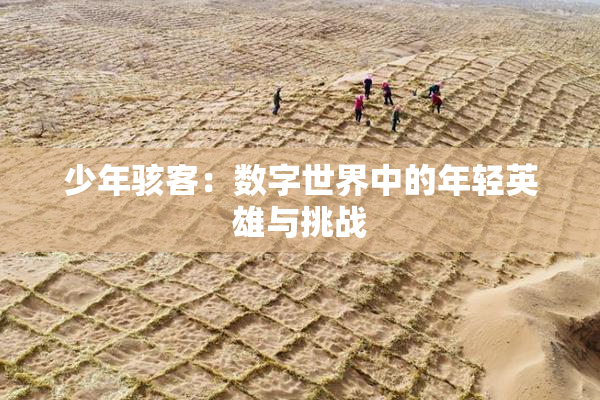 少年骇客：数字世界中的年轻英雄与挑战