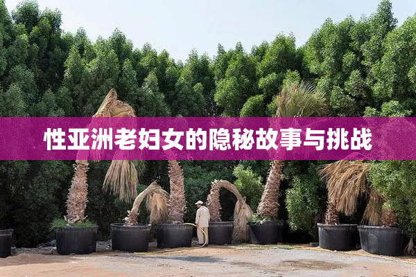 性亚洲老妇女的隐秘故事与挑战