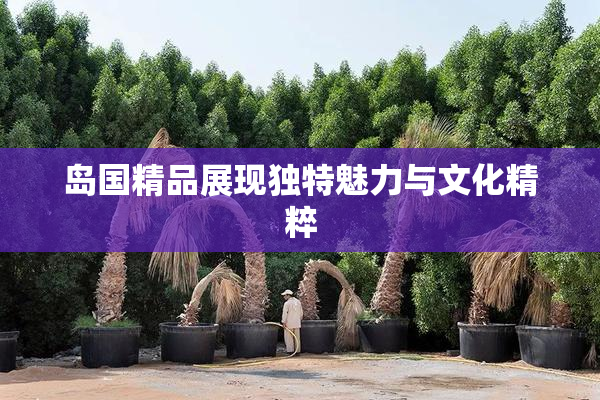 岛国精品展现独特魅力与文化精粹