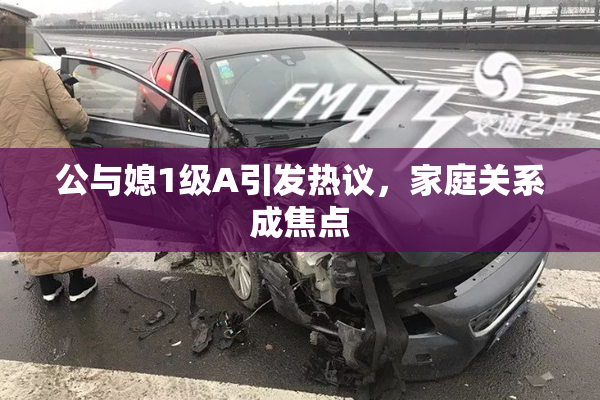 公与媳1级A引发热议，家庭关系成焦点