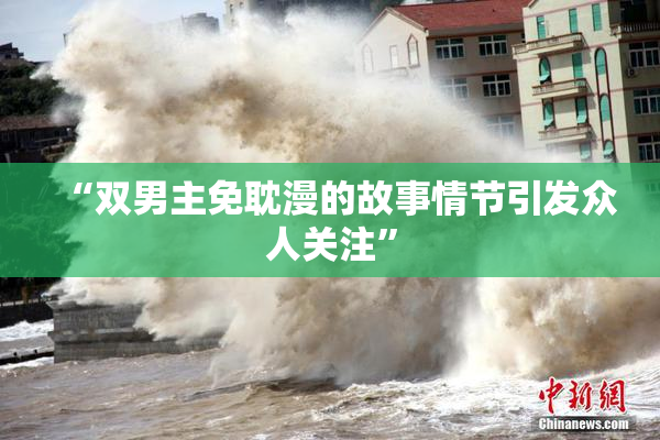 “双男主免耽漫的故事情节引发众人关注”