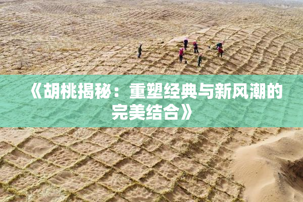 《胡桃揭秘：重塑经典与新风潮的完美结合》