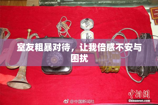 室友粗暴对待，让我倍感不安与困扰
