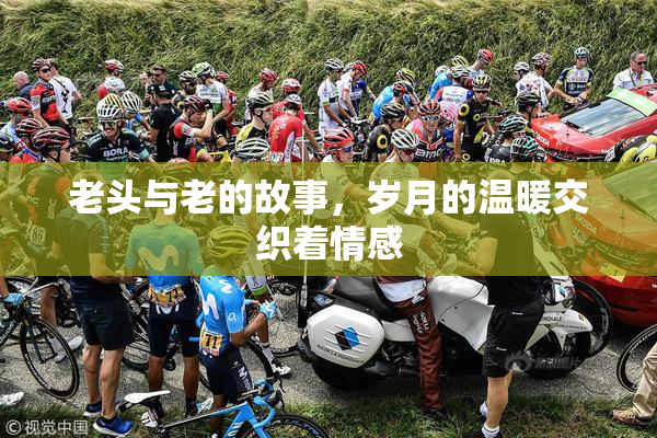 老头与老的故事，岁月的温暖交织着情感