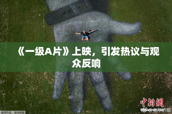 《一级A片》上映，引发热议与观众反响