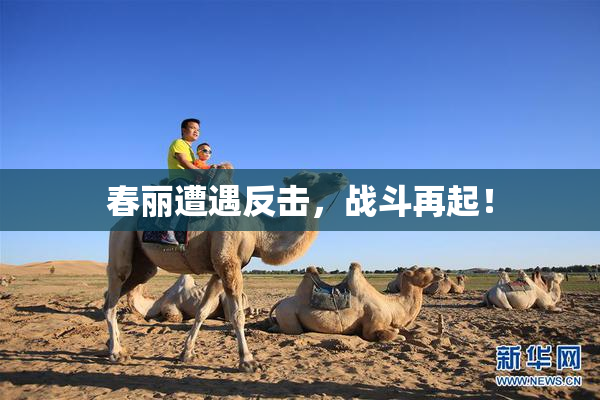 春丽遭遇反击，战斗再起！