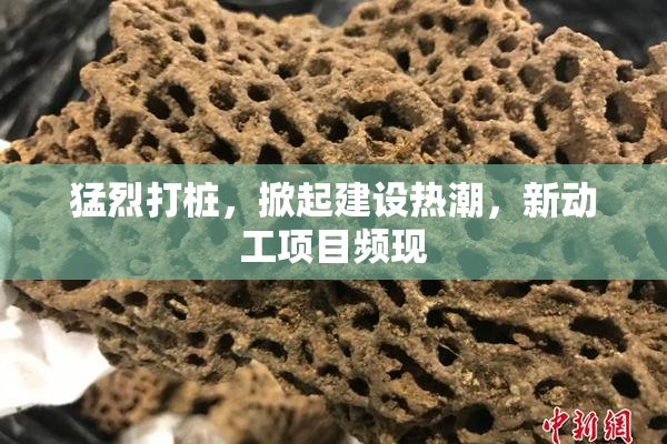 猛烈打桩，掀起建设热潮，新动工项目频现