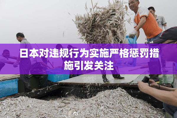 日本对违规行为实施严格惩罚措施引发关注