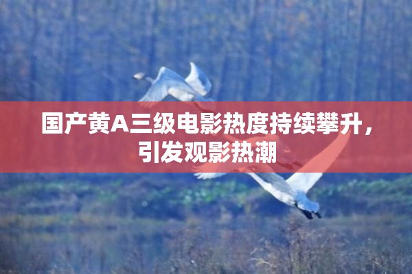 国产黄A三级电影热度持续攀升，引发观影热潮