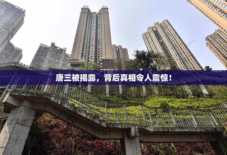 唐三被揭露，背后真相令人震惊！