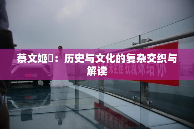 蔡文姬婬：历史与文化的复杂交织与解读