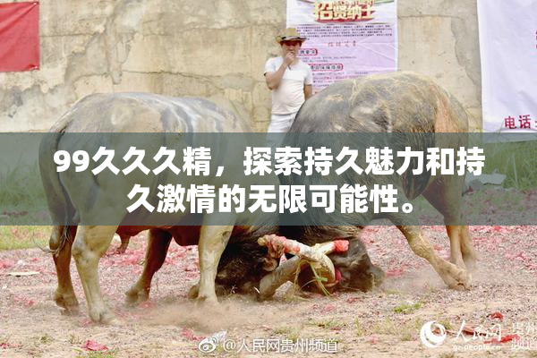 99久久久精，探索持久魅力和持久激情的无限可能性。