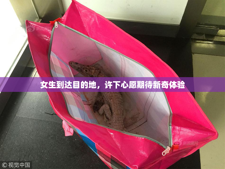 女生到达目的地，许下心愿期待新奇体验