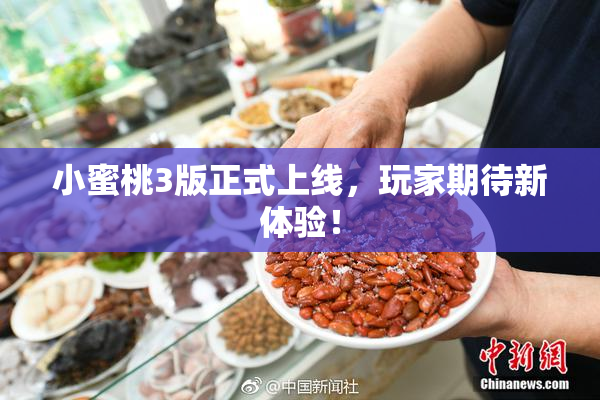小蜜桃3版正式上线，玩家期待新体验！