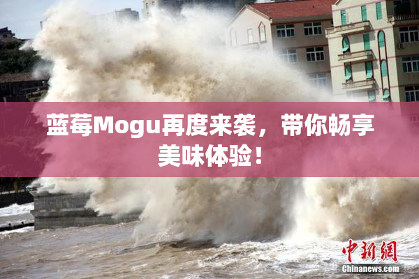 蓝莓Mogu再度来袭，带你畅享美味体验！