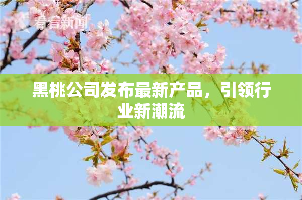 黑桃公司发布最新产品，引领行业新潮流