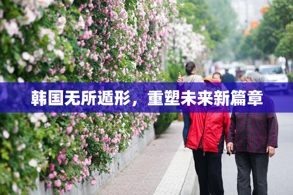 韩国无所遁形，重塑未来新篇章
