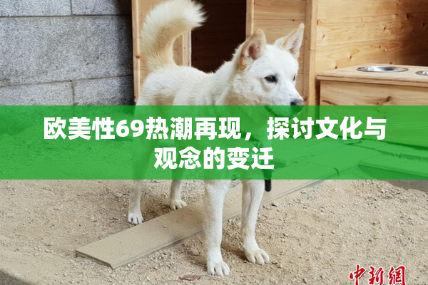 欧美性69热潮再现，探讨文化与观念的变迁