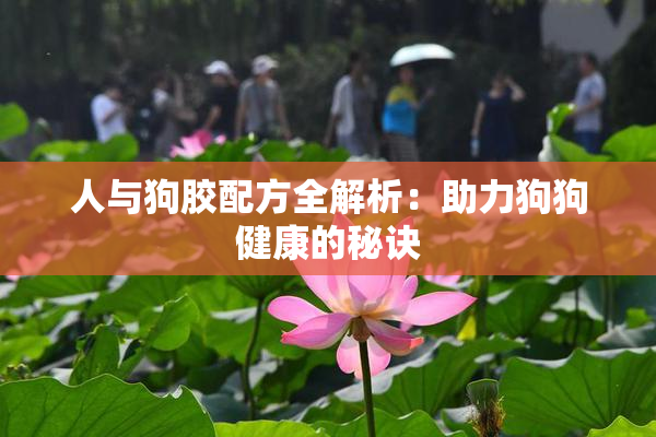 人与狗胶配方全解析：助力狗狗健康的秘诀