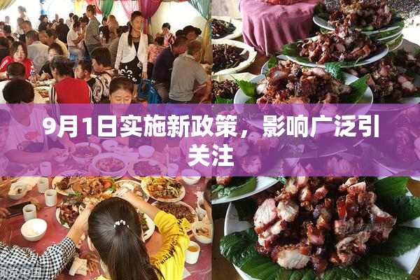 9月1日实施新政策，影响广泛引关注