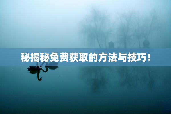 秘揭秘免费获取的方法与技巧！