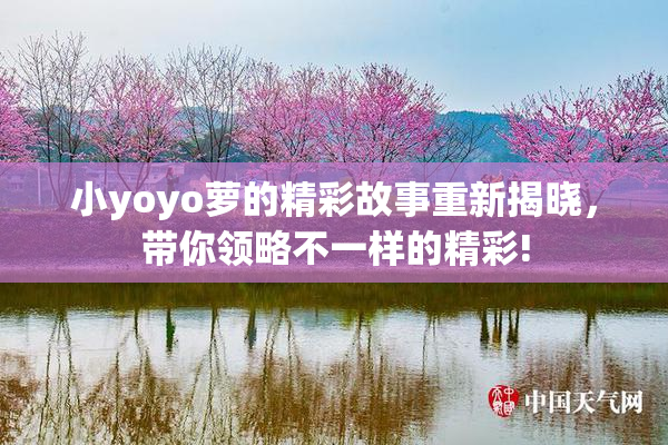 小yoyo萝的精彩故事重新揭晓，带你领略不一样的精彩!