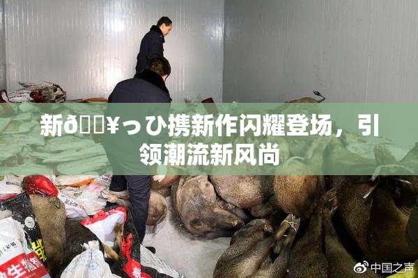 新🔥っひ携新作闪耀登场，引领潮流新风尚
