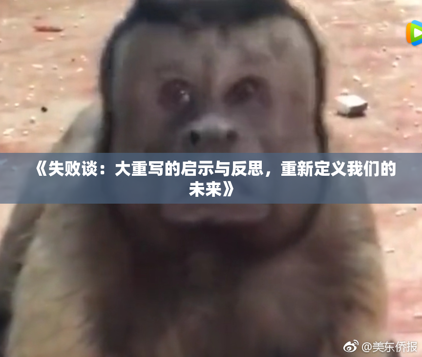 《失败谈：大重写的启示与反思，重新定义我们的未来》
