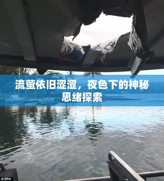 流萤依旧涩涩，夜色下的神秘思绪探索