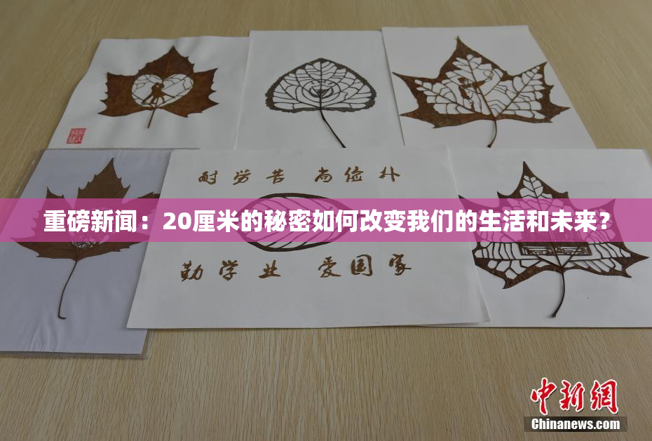 重磅新闻：20厘米的秘密如何改变我们的生活和未来？