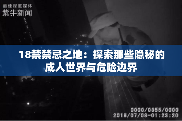 18禁禁忌之地：探索那些隐秘的成人世界与危险边界