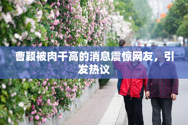 曹颖被肉干高的消息震惊网友，引发热议